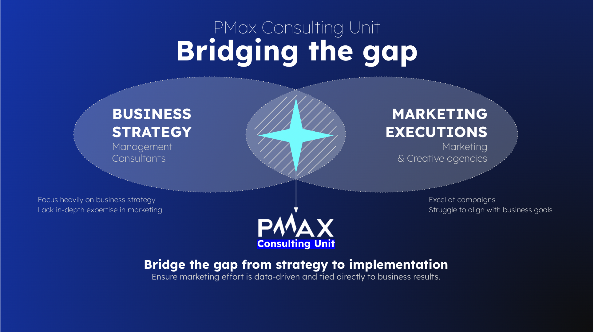 PMAX Consulting Unit